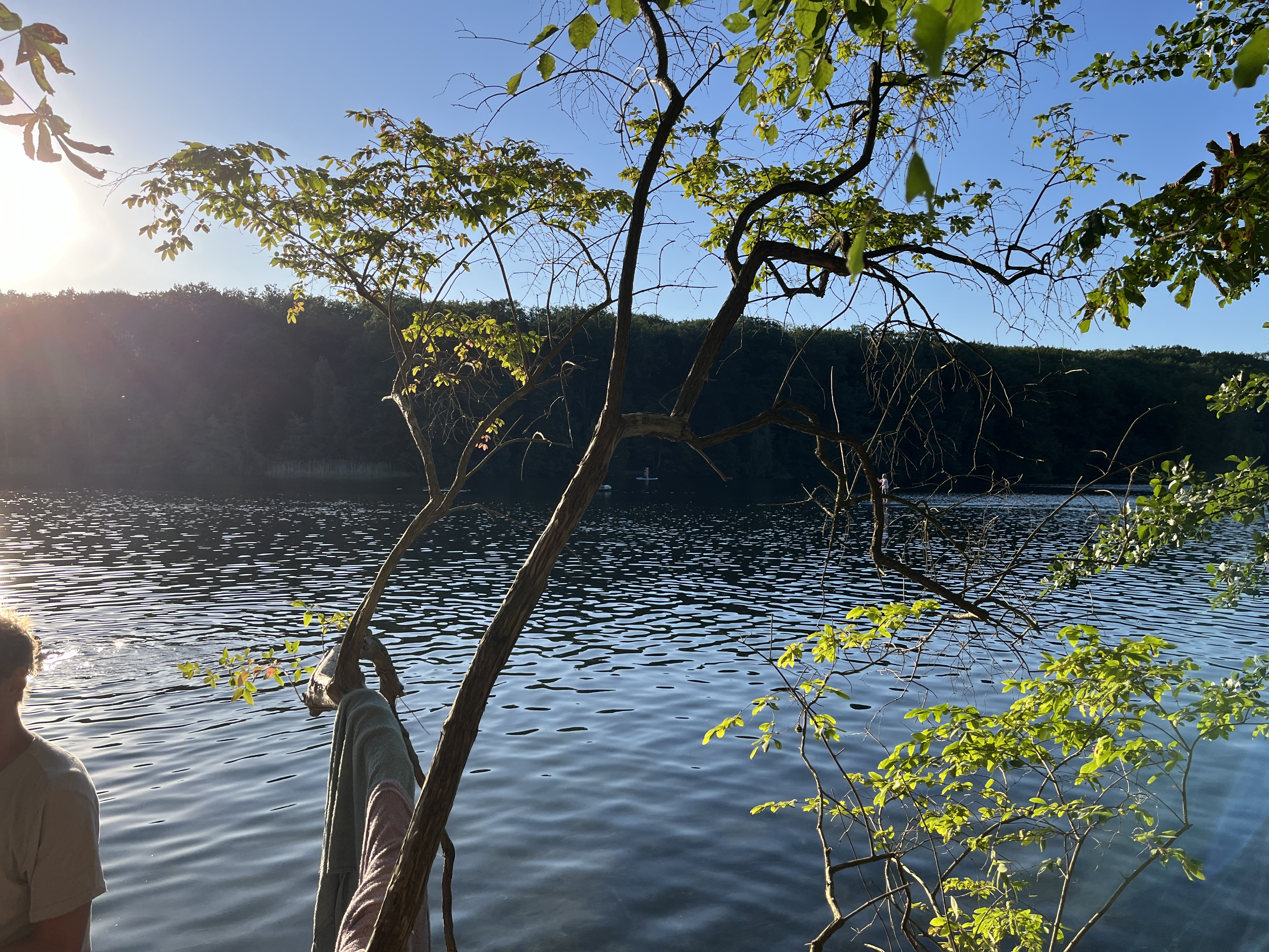 What I Learned from 30 Days of Swimming (Every Day)