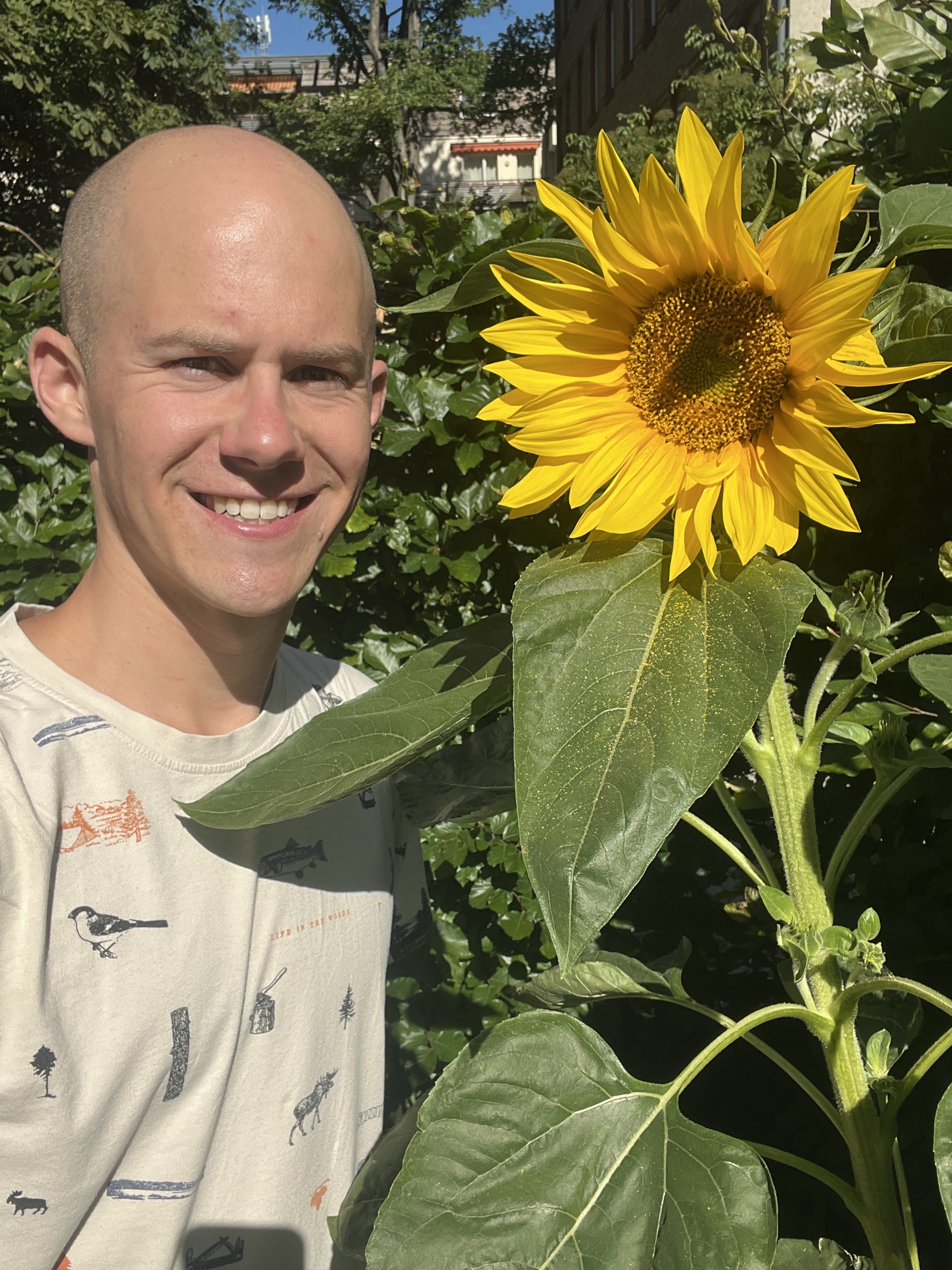 Setback or growth? A lesson from a bruised rib